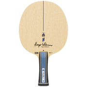 Joola Hugo Calderano AW-7